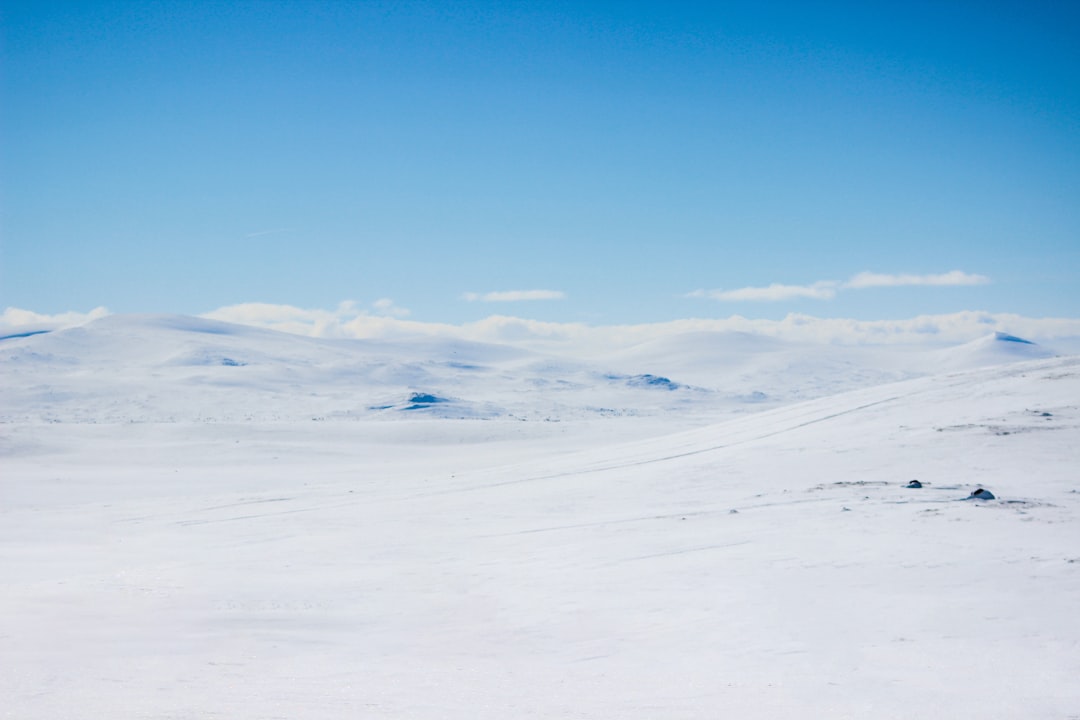 Photo Snowy landscape